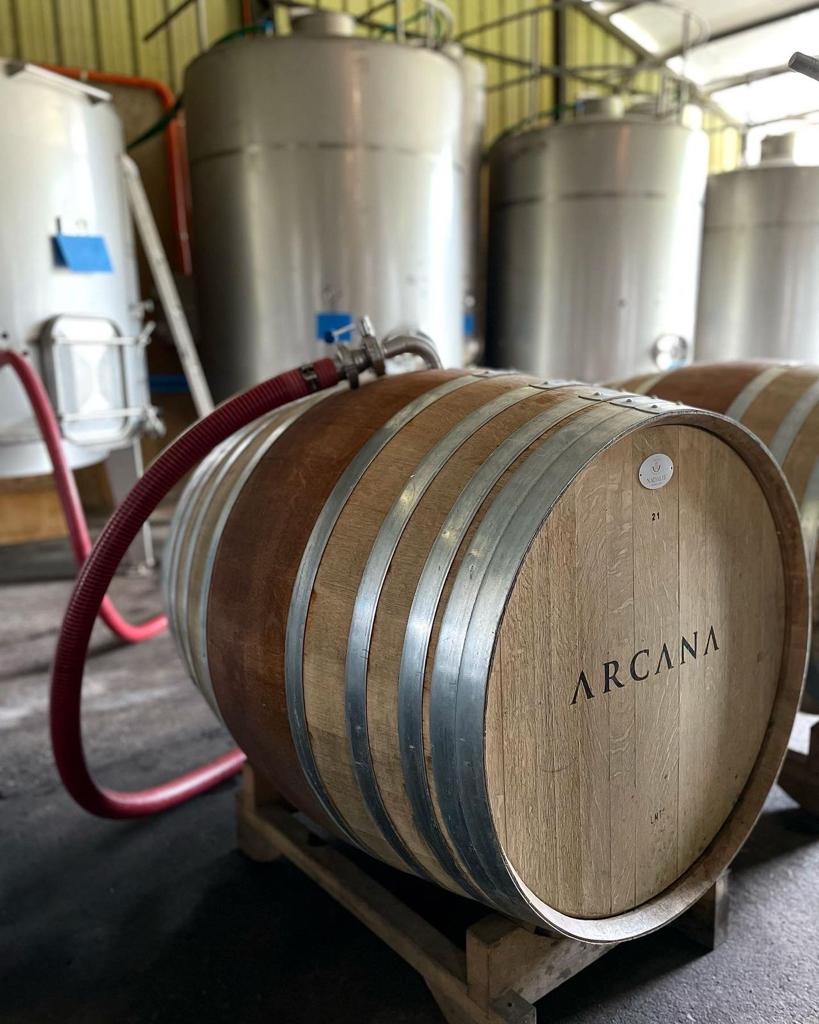 Barrica Arcana en bodega