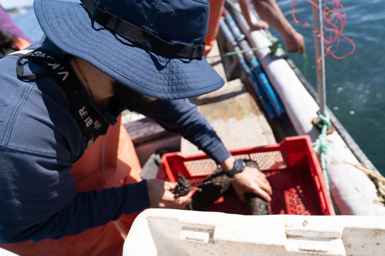 Trabajo en bote sobre la concesión marina